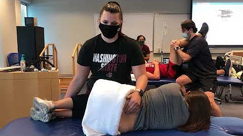 PPIVMs to Lumbar spine