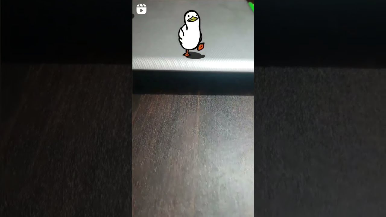 Duck trend on Instagram 