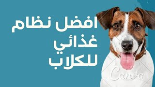 افضل نظام غذائي و افضل وجبات تحبها الكلاب | كم وجبة في اليوم ؟  #الكلاب | #دكتورة_ الانسانية |