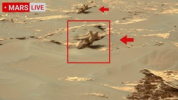 NASA Mars Rover Perseverance Sent Most Incredible Footage Of Mars! Curiosity
