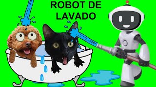 ROBOT QUE DA EL PRIMER BAÑO A MI GATO Y A MI PERRO?! / Videos de gatos Luna y Estrella