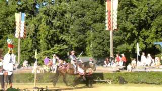 Knights Issue their Challenges on the Jousting Lists