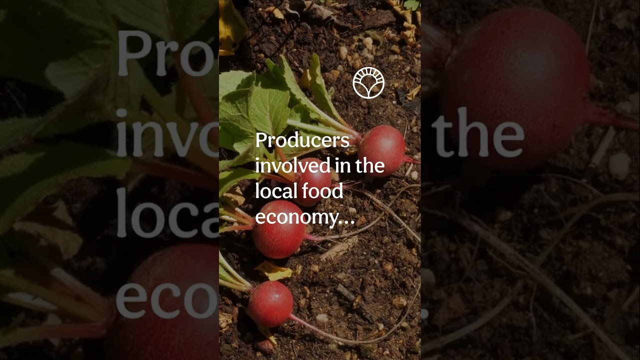 Why buy a veg box? Support your local economy