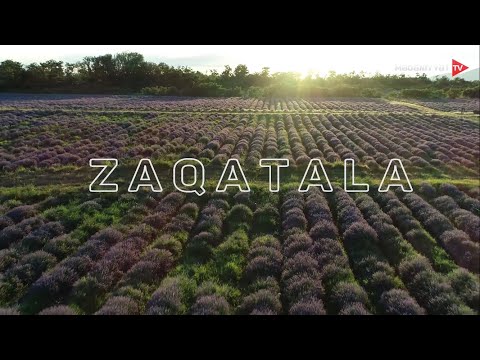 Zaqatala Vetenimiz Azerbaycan /Заkатала Азербайджан