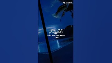 القرآن بصوت القارئ عبدالرحمن مسعد