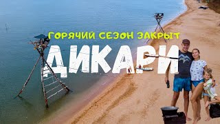 Закрываем горячий сезон дикарей 2021 на берегу моря, база отдыха Киммерик в Яковенково, Крым