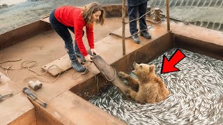 Animals That Asked People for Help & Kindness