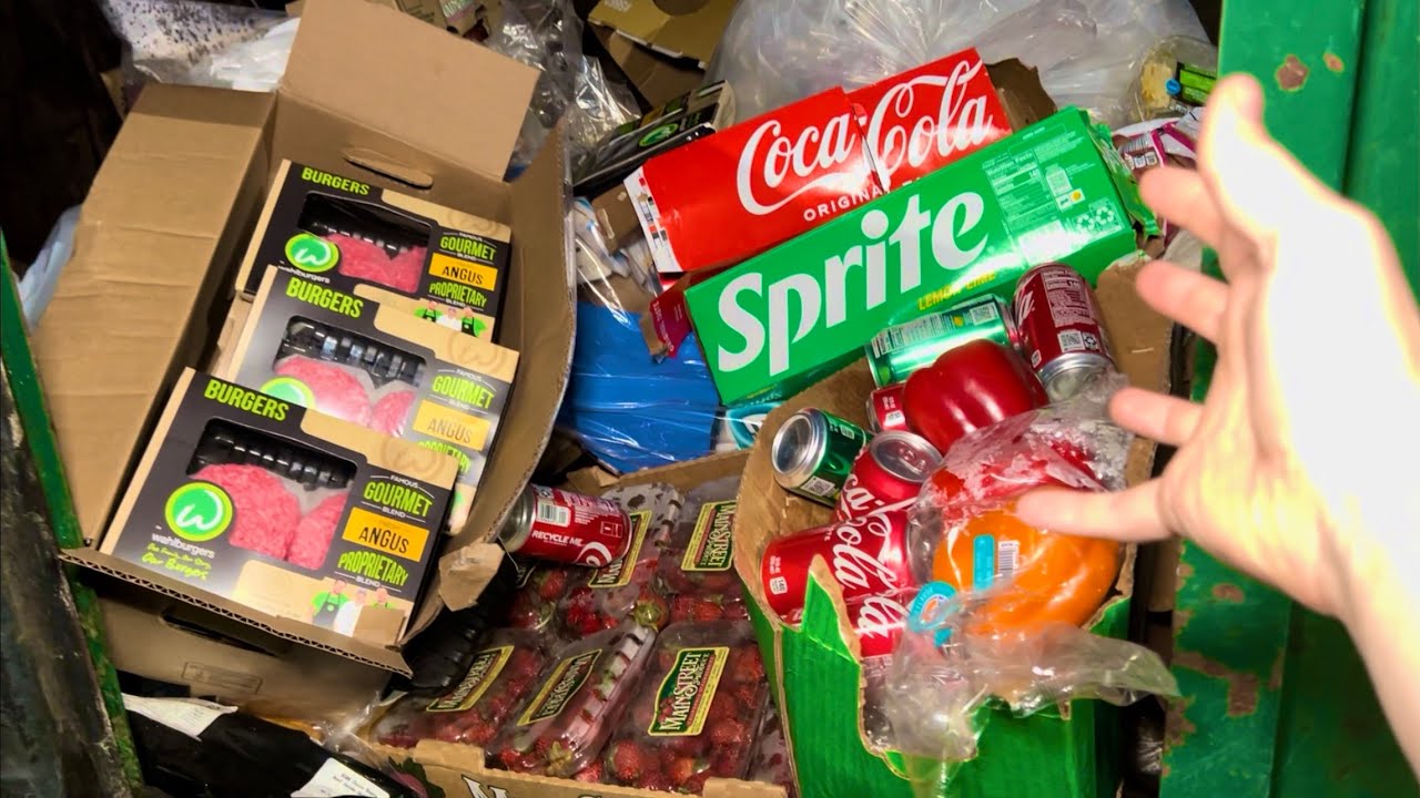 Dumpster Diving Aldi 167 Free Grocery Shopping! YouTube