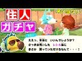 ハーレム島を目指してマイル旅行券ガチャしまくる【あつまれ どうぶつの森】#6