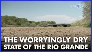 The Worryingly Dry State of the Rio Grande
7.10.26 – For the second straight year, the Rio Grande has run dry in Albuquerque. Senior Producer Lou Divizio sat down with Hannah Riseley-White, director of the Interstate Stream Commission, to discuss the rivers dire state.
Correspondent:
Lou DiVizio
Guest:
Hannah Riseley-White, Director, Interstate Stream Commission
For More Information:
This program is made possible by viewers like you. Support NMPBS: https://bit.ly/donatetonmpbs
Subscribe to the NMPBS channel for more clips: https://www.youtube.com/@NMPBS
Enjoy full episodes of your favorite NMPBS shows anytime, anywhere with the free PBS App. Learn how: https://www.newmexicopbs.org/what-we-do/how-to-watch-us/
FOLLOW NMPBS
Instagram: https://www.instagram.com/nmpbs/
Facebook: https://www.facebook.com/NewMexicoPBS
Linkedin: https://www.linkedin.com/company/knme-tv-new-mexico-pbs/
Website: https://www.nmpbs.org
FOLLOW NEW MEXICO IN FOCUS
Instagram: https://www.instagram.com/nm_in_focus/ The Worryingly Dry State of the Rio Grande
