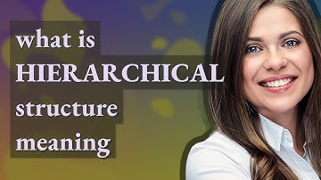 Hierarchical structure | meaning of Hierarchical structure