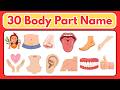 Body Parts Name | 30 Body Parts Name | Human Body Parts Name | Body Parts Name For Kids