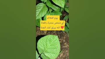 #اللهم_صل_وسلم_على_نبينا_محمد #اكسبلور #الله  #رسول_الله #القارئ #حكمة_اليوم #لايك #يارب #اقتباسات