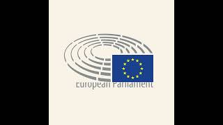 EU elections: minimum age to stand as a candidate #democracy