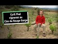  rencontre avec cyril fhal vigneron au clos du rouge gorge  latourdefrance dans le roussillon