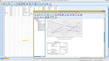 SPSS - Artificial Neural Networks