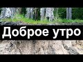 Доброе Утро! И Распахни К СЕБЕ ТЫ СЧАСТЬЯ Дверца! Очень Красивая Видео Открытка