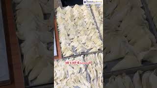 Samosa Making Machine | Samosa Machine | Samosa Filling Machine | Automatic Samosa Machine #viral