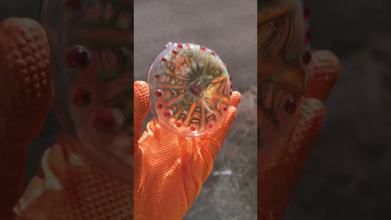 Wide Palm Pipe , a Curated Concept. 