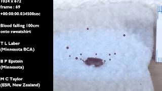Blood drop falling 100 cm onto sweatshirt | Blood Spatter Analysis