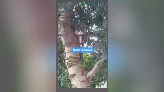 Gönülleri̇n Efendi̇si̇ Ki̇rli̇ 🥰😍