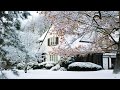 After Winter Snow Storm in Toronto Old Neighborhood Cozy Homes Relaxing Calming ambient vibes