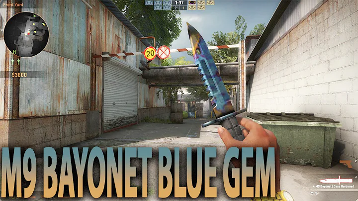 M9 Bayonet FULL BLUE GEM (Factory New) Knife Showcase!!!