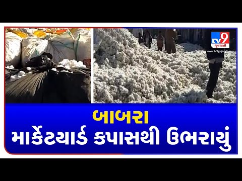 Amreli: 2 km long queue of farmers outside Babra market yard for selling cotton| TV9News