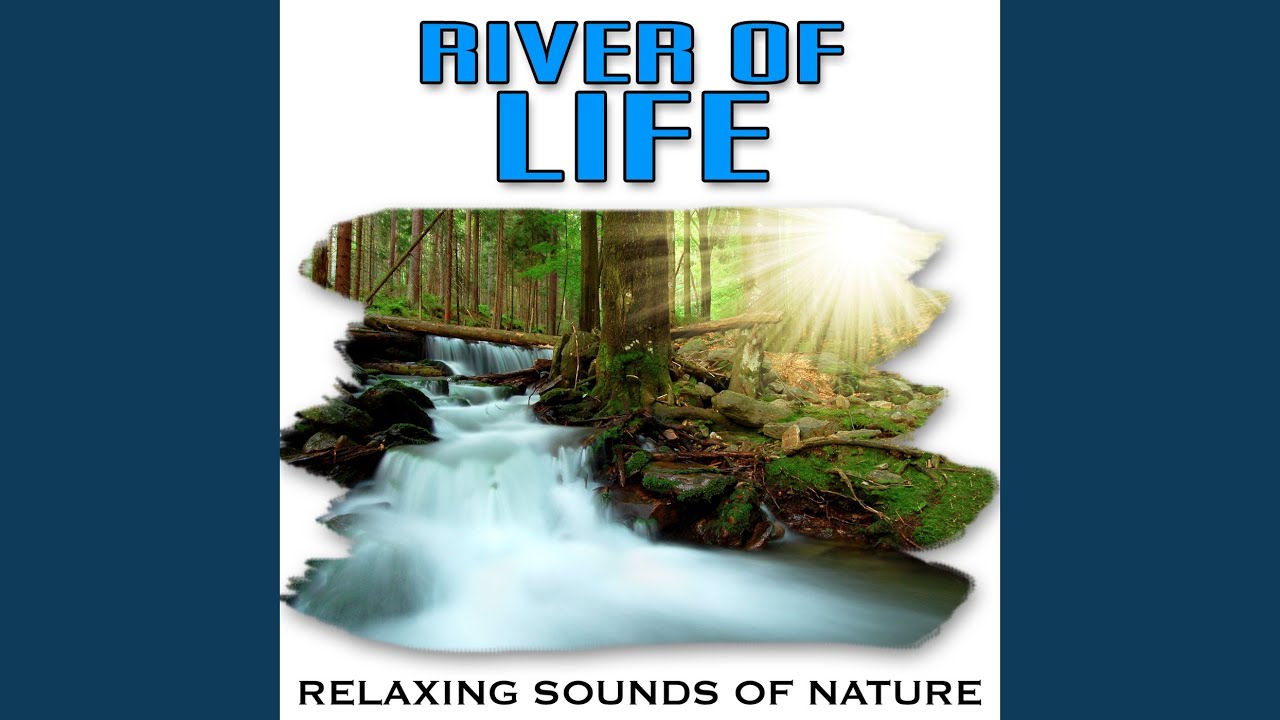 Mira Relaxing Rhythm of the River of Life en YouTube Mira Relaxing Rhythm of the River of Life en YouTube