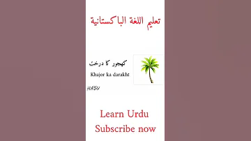 تعليم اللغة الاوردية Learn Urdu Shorts 