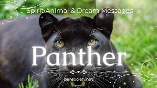 Black Panther Spirit Animal: Jaguar Meaning, Dreams & Shamanic Initiation Jaguar Black Panther As A Totem Personality Characteristics And Life Path Challenges