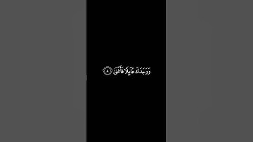 كرومات قرآن شاشه سوداء _ سورة الضحى _ ♡#ياسر_الدوسري#اكسبلور_فولو