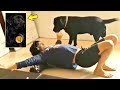 Sushant Singh Rajput Dog Fudge Unseen Memories Home Video Will Melt Your Heart