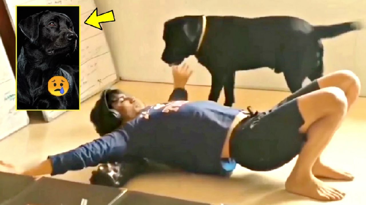 Sushant Singh Rajput Dog Fudge Unseen Memories Home Video Will Melt Your Heart
