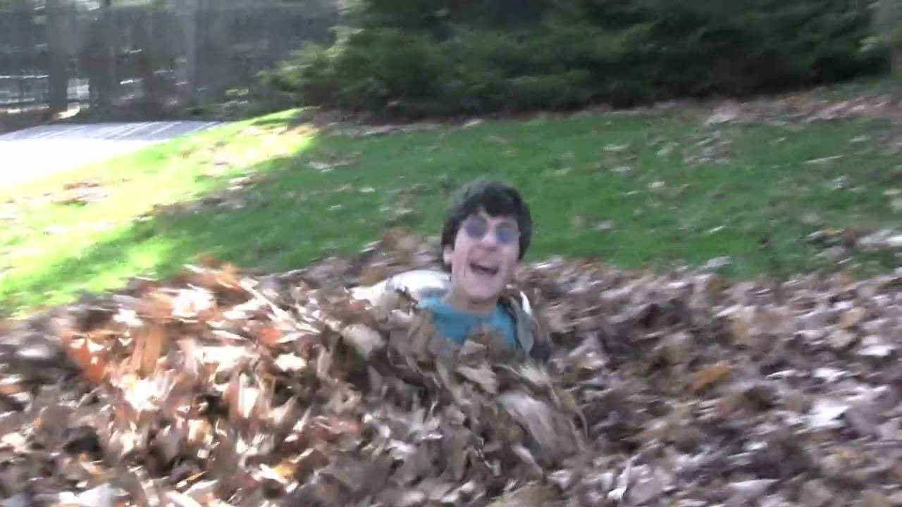 The Leaf Monster