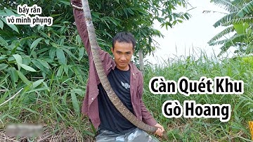 bẩy rắn Võ Minh Phụng | Ông THợ Bẩy Rắn Cùng Đồng Bọn Càn Quét Khu Gò Hoàng