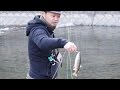 ヤマメ爆釣のフライフィッシング