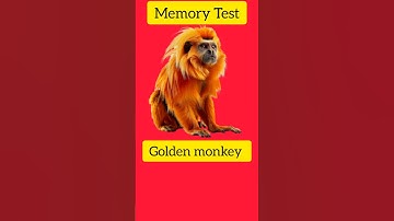 Brain memory test 99% failed 😜 #braintest #memorytest #memorychallenge #memorytestgame #memorygame