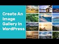 How to Add an Image Gallery in WordPress Using Modula and Elementor Plugin