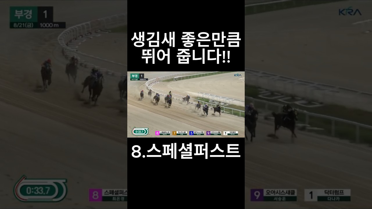 생김새 좋은만큼 뛰어줍니다!!  #경마  #경마예상  #경마방송  #경마예상방송  #서울경마  #금요경마  #토요경마  #일요경마 #경마장