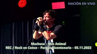 Machuca - Más Animal (REC / Rock en Conce - Parque Bicentenario - 05.11.2022)