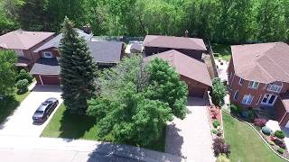 56 Montmorency Dr, Hamilton (Non-Branded)