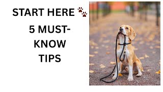 Train Your Own Service Dog: 5 Expert Tips You NEED to Know 🐾