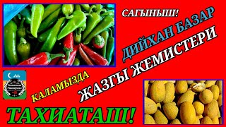 видео: 21.09.25ж.КАУЫН КАРБЫЗ ЖАНЕ БАСКА ЗАТЛАР БАХАЛАРЫ #тахиаташ#каракалпакистан#бахалары#цены#дыни#арбуз картинка: 21.09.25ж.КАУЫН КАРБЫЗ ЖАНЕ БАСКА ЗАТЛАР БАХАЛАРЫ #тахиаташ#каракалпакистан#бахалары#цены#дыни#арбуз