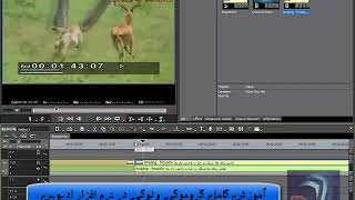 آموزش نرم افزار edius screenshot 4