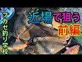 沖縄南部ポイントでフカセ釣り☆アーガイ、チヌマン、トカジャー狙い！