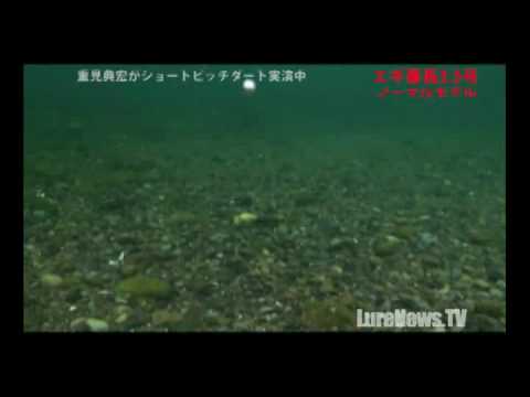 エバーグリーン エギ番長3 5号水中映像 重見典宏が実演 Youtube エバーグリーン エギ番長3 5号水中映像 重見典宏が実演 Youtube