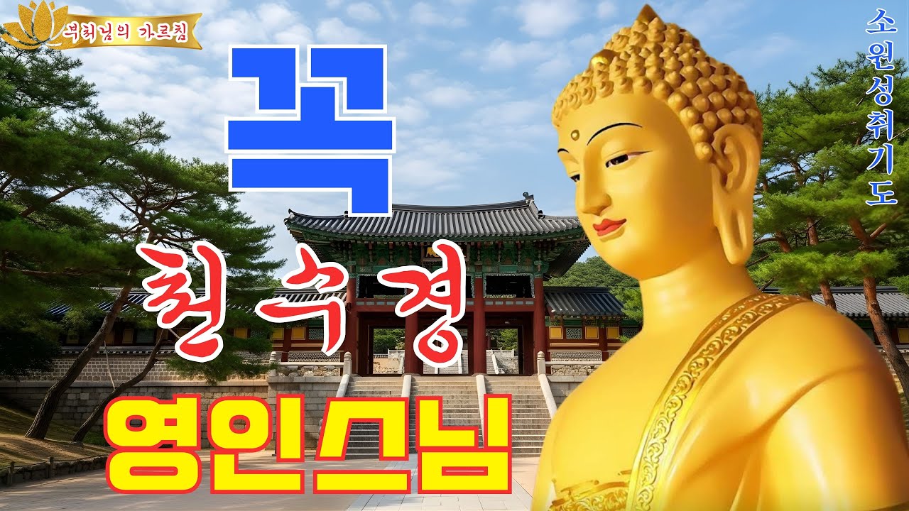 【소원성취기도】금전운 과 소원을 들어주는 불경 🙏 돈을 끌어당기는 신비한 주파수, 시각화 끌어당김 음악, 재물, 돈, 성공, 부자, 꿈을이루는 파동음악
