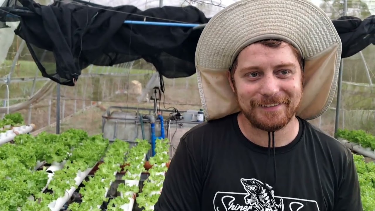 Americans Farming in the Philippines 
