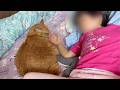 猫と寝るのが好きなんです